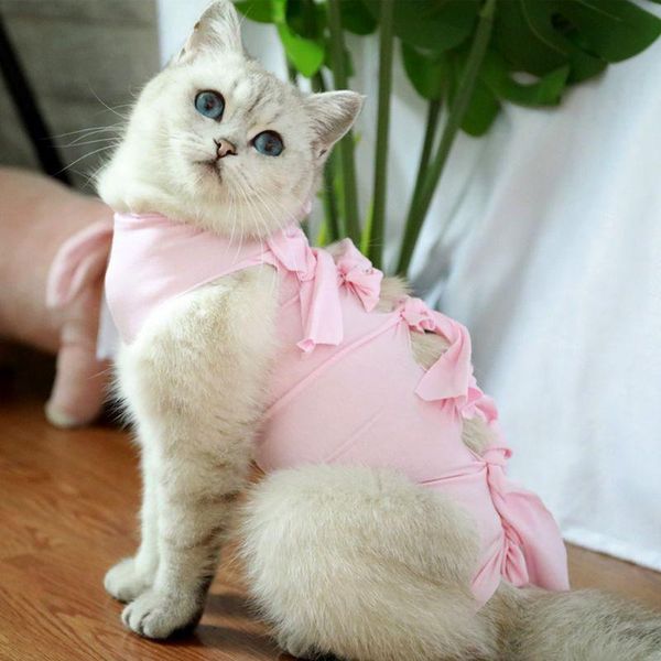 cat costumes sterilization clothing weaning posrative anti-mite clothes thin section breathable four-legged pet costume
cat costumes sterilization clothing weaning posrative anti-mite clothes thin section breathable four-legged pet costume
