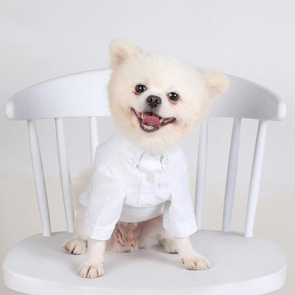 solid pet shirt classic pets dogs clothing for small costume puppy chihuahua clothes dog supplies apparel
solid pet shirt classic pets dogs clothing for small costume puppy chihuahua clothes dog supplies apparel