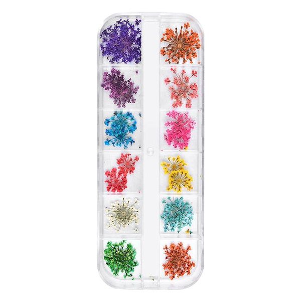 decorative flowers & wreaths 12 colors/set kids dried flower toys for nail art decorations ornaments party festival decor
decorative flowers & wreaths 12 colors/set kids dried flower toys for nail art decorations ornaments party festival decor