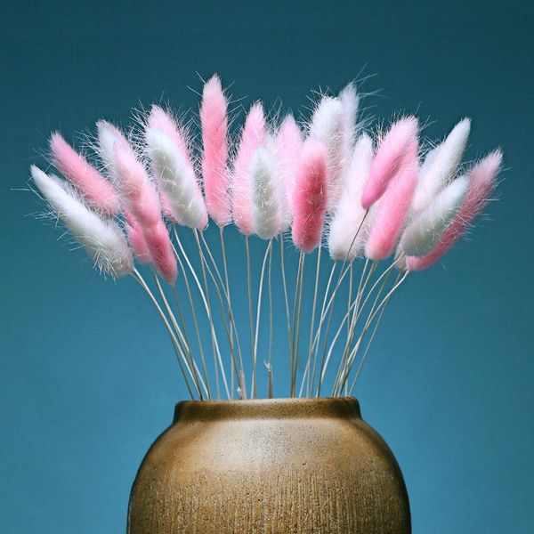 30pcs mix color dried flowers natural tail grass pampas dry plant artificial fake flower home wedding decoration decorative & wreaths 
30pcs mix color dried flowers natural tail grass pampas dry plant artificial fake flower home wedding decoration decorative & wreaths