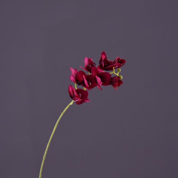 decorative flowers & wreaths 8 heads real touch good quality artificial phalaenopsis butterfly orchid 27" for home party wedding decor
decorative flowers & wreaths 8 heads real touch good quality artificial phalaenopsis butterfly orchid 27" for home party wedding decor