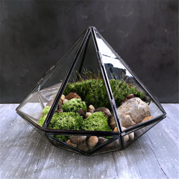 vases minimalism diamond shape hanging glass terrarium,local tyrants black geometric solder terrarium housing for plants moss
vases minimalism diamond shape hanging glass terrarium,local tyrants black geometric solder terrarium housing for plants moss