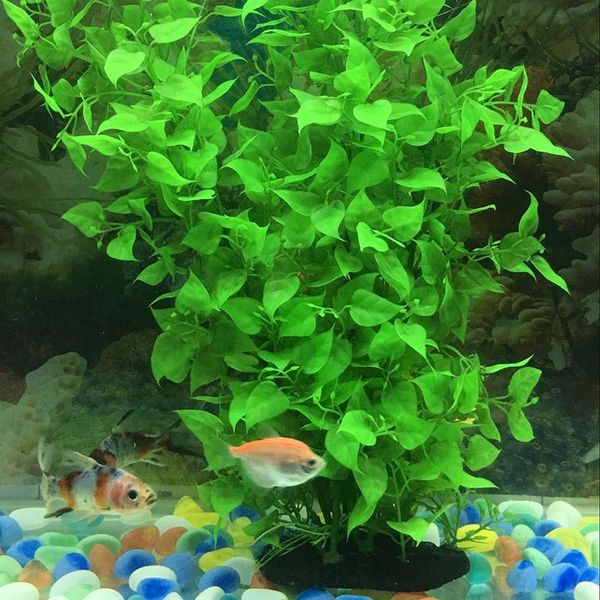 decorations aquarium decor fish tank decoration ornament handmade plastic plant landscape hyd88
decorations aquarium decor fish tank decoration ornament handmade plastic plant landscape hyd88
