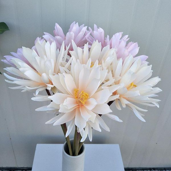 3pcs/lot simulation epiphyllum flower artificial plant succulents bonsai indoor decorative home display silk arrangement flowers & wreaths
3pcs/lot simulation epiphyllum flower artificial plant succulents bonsai indoor decorative home display silk arrangement flowers & wreaths