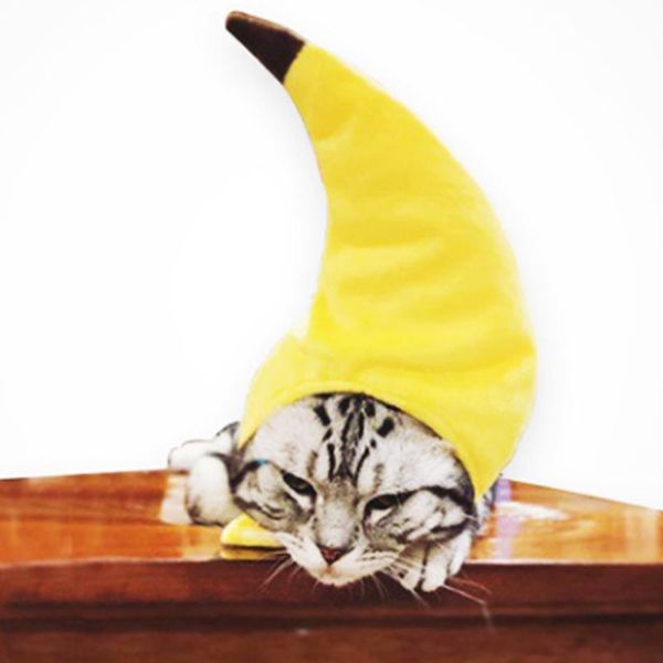 cat costumes halloween festival funny headdress pet hat creative transformation teddy banana headgear
cat costumes halloween festival funny headdress pet hat creative transformation teddy banana headgear