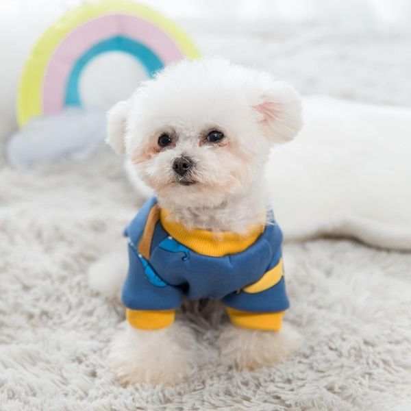 hoodie pet dog clothes animal cartonn clothing dogs super small costume cute warm funny chihuahua print winter blue boy mascotas apparel
hoodie pet dog clothes animal cartonn clothing dogs super small costume cute warm funny chihuahua print winter blue boy mascotas apparel