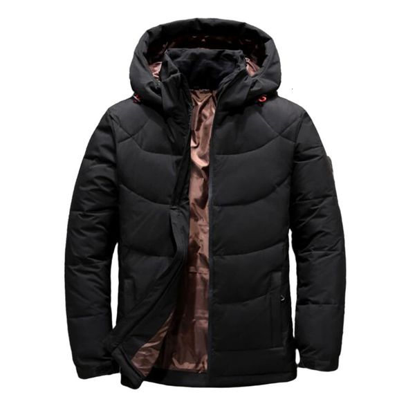 2022 new men's winter fashion casual coat hat detachable white duck down jacket for men warm windbreaker coat, Black
2022 new men's winter fashion casual coat hat detachable white duck down jacket for men warm windbreaker coat, Black