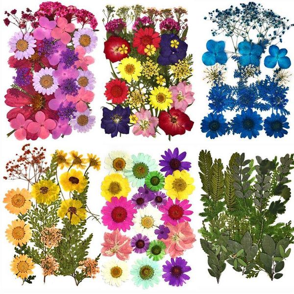 bag real dried flower dry plants for candle epoxy resin pendant necklace jewelry making craft diy accessories decorative flowers & wreaths
bag real dried flower dry plants for candle epoxy resin pendant necklace jewelry making craft diy accessories decorative flowers & wreaths