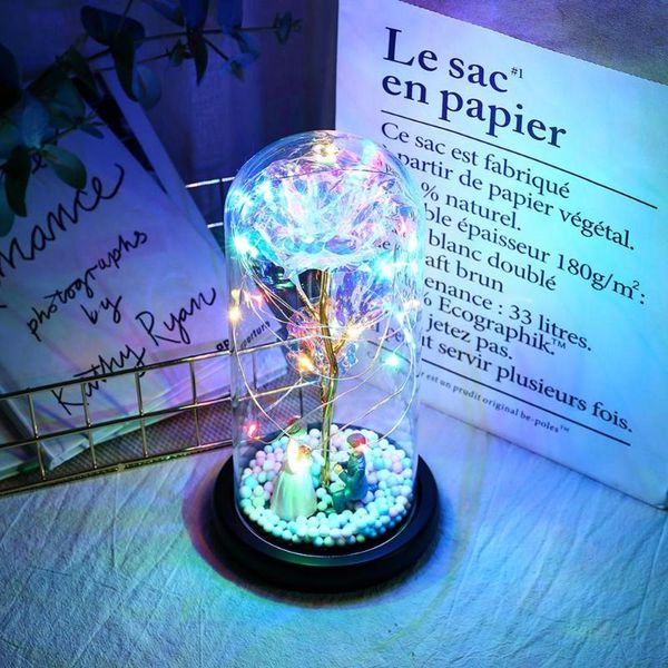 decorative flowers & wreaths rose in glass dome led forever lamp for christmas mother's day romantic gift
decorative flowers & wreaths rose in glass dome led forever lamp for christmas mother's day romantic gift