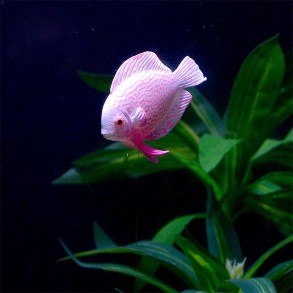 clownfish glow in the dark artificial aquarium ornament goldfish fish tank jellyfish for garden decoration decorations
clownfish glow in the dark artificial aquarium ornament goldfish fish tank jellyfish for garden decoration decorations