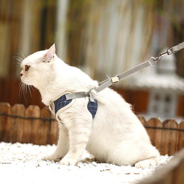 cat traction rope out to walk the chain vest type anti-break away collar kitten dog collars & leashes
cat traction rope out to walk the chain vest type anti-break away collar kitten dog collars & leashes