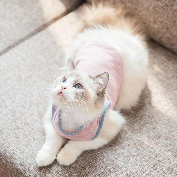 cat costumes selling summer dog vest shirt clothes casual stripe coat pet puppy vests clothing for dogs
cat costumes selling summer dog vest shirt clothes casual stripe coat pet puppy vests clothing for dogs