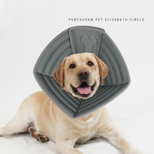 dog collars & leashes eva pet anti-bite protective collar neck recovery wound elizabeth ring for cats dogs general cat
dog collars & leashes eva pet anti-bite protective collar neck recovery wound elizabeth ring for cats dogs general cat
