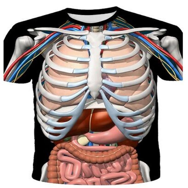 men's t-shirts human internal organs muscle 3d printed clothes biology textbook t-shirt summer fashion harajuku top, White;black
men's t-shirts human internal organs muscle 3d printed clothes biology textbook t-shirt summer fashion harajuku top, White;black