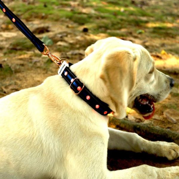 dog collars & leashes nylon led collar night safety flashing reflective glow in the dark leash dogs luminous waterfroof
dog collars & leashes nylon led collar night safety flashing reflective glow in the dark leash dogs luminous waterfroof
