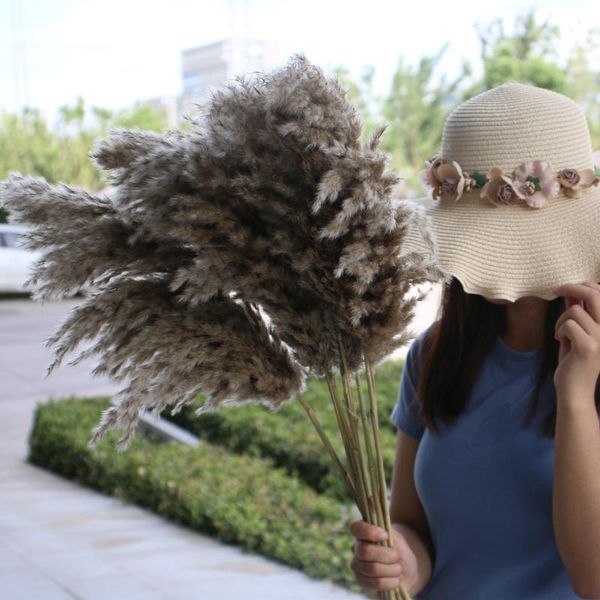 decorative flowers & wreaths boho wedding flower dried pampas grass large decor bunch natural plants for home vintage christmas decoration 2
decorative flowers & wreaths boho wedding flower dried pampas grass large decor bunch natural plants for home vintage christmas decoration 2