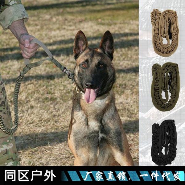 dog collars & leashes outdoor retractable leash army fan nylon tactical training medium and large pet supplies
dog collars & leashes outdoor retractable leash army fan nylon tactical training medium and large pet supplies