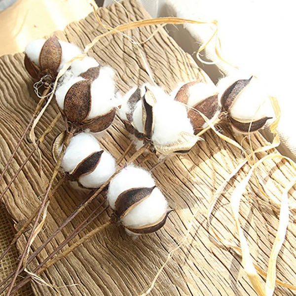 natural cotton branch naturally dried flower simulation plants for home wedding decoration fake flowers decor decorative & wreaths
natural cotton branch naturally dried flower simulation plants for home wedding decoration fake flowers decor decorative & wreaths