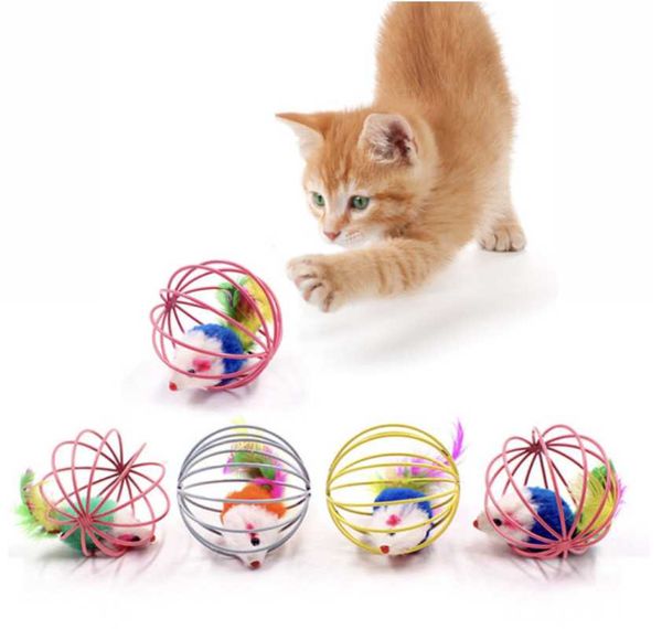 cat toys pet toy iron cage mouse strong bite resistant prison squirrel various color
cat toys pet toy iron cage mouse strong bite resistant prison squirrel various color
