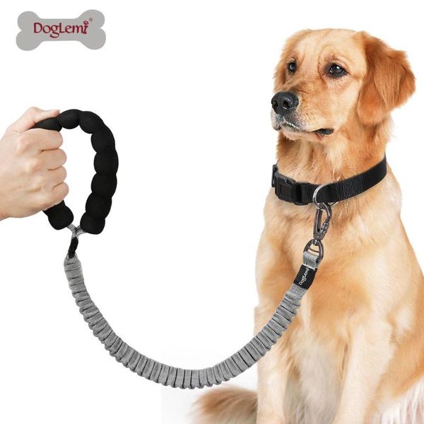 dog collars & leashes doglemi anti buffer bungee pet lead leash for large dogs with control handle
dog collars & leashes doglemi anti buffer bungee pet lead leash for large dogs with control handle
