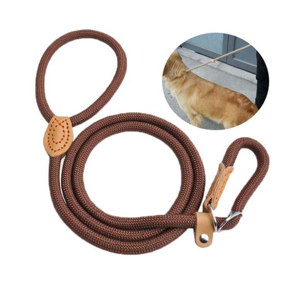 adjustable dog lead leash nylon puppy rope belt lightweight pet walking training traction for supplies collars & leashes
adjustable dog lead leash nylon puppy rope belt lightweight pet walking training traction for supplies collars & leashes