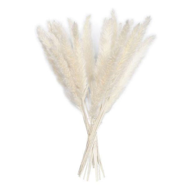 decorative flowers & wreaths 15pcs natural dried reed grass diy home wedding decoration 100% high-quality
decorative flowers & wreaths 15pcs natural dried reed grass diy home wedding decoration 100% high-quality