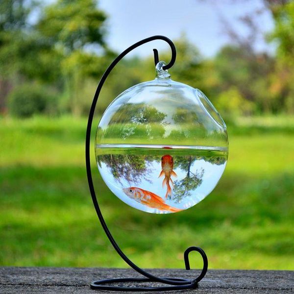 novelty items 4sets/pack diameter=12cm transparent glass material terrarium aquarium height=23cm metal stand matching home decorative
novelty items 4sets/pack diameter=12cm transparent glass material terrarium aquarium height=23cm metal stand matching home decorative