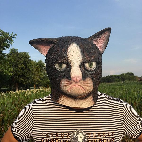 party masks funny angry cat halloween cosplay animal full face mask latex horror masquerade costume adult
party masks funny angry cat halloween cosplay animal full face mask latex horror masquerade costume adult