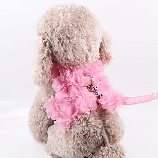 dog collars & leashes stereo flower traction rope cat pet beautiful flowers spring and summer ventilated puppy
dog collars & leashes stereo flower traction rope cat pet beautiful flowers spring and summer ventilated puppy
