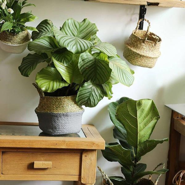 storage baskets seagrass wicker basket flower pot folding rattan hanging dirty laundry hamper
storage baskets seagrass wicker basket flower pot folding rattan hanging dirty laundry hamper