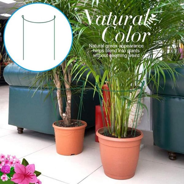 other garden supplies wrought iron 6pcs practical peonies tomato plant stake eco-friendly support frame rust-proof for balcony
other garden supplies wrought iron 6pcs practical peonies tomato plant stake eco-friendly support frame rust-proof for balcony