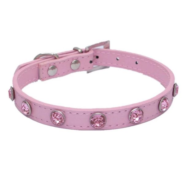 dog collars & leashes collar simple cute gem fashion style pu leather decoration necklace or small pet pets accessories supplies
dog collars & leashes collar simple cute gem fashion style pu leather decoration necklace or small pet pets accessories supplies