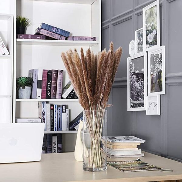 30pcs pampas grass 18tall dried pompous grass pompass branches for vase flower arrangement wedding kitchen home dcor(white)
30pcs pampas grass 18tall dried pompous grass pompass branches for vase flower arrangement wedding kitchen home dcor(white)