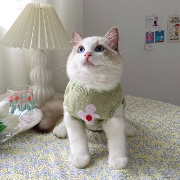 cat costumes year autumn winter sweater small dog warm clothes pet for kitten puppy clothing lovely hoodies cute costume n79
cat costumes year autumn winter sweater small dog warm clothes pet for kitten puppy clothing lovely hoodies cute costume n79