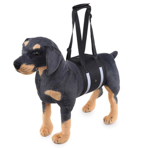 dog collars & leashes pet general carrying case reflective hand strap help protecting belt accessories
dog collars & leashes pet general carrying case reflective hand strap help protecting belt accessories