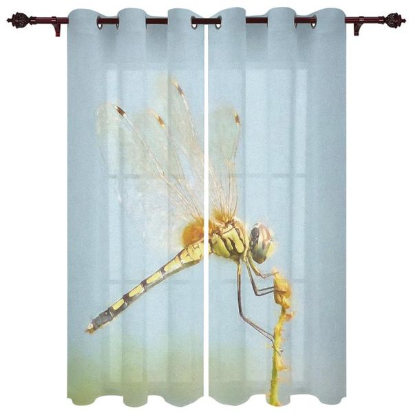 exquisite home curtains dragonfly fresh living room bedroom kitchen translucent polyester decorative curtain & drapes
exquisite home curtains dragonfly fresh living room bedroom kitchen translucent polyester decorative curtain & drapes