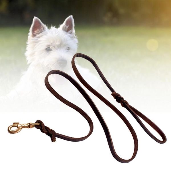 multifunction pu leather dog chain running training wear resistant long clip pet leash rope extending lead safety flexible collars & leashes
multifunction pu leather dog chain running training wear resistant long clip pet leash rope extending lead safety flexible collars & leashes