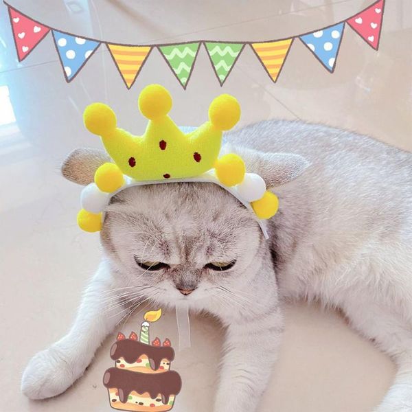 dog apparel pet cat birthday party roped crown decoration hat yellow
dog apparel pet cat birthday party roped crown decoration hat yellow