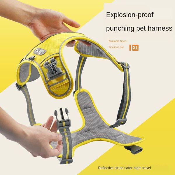 dog collars & leashes explosion-proof absorption comfortable night vision reflective pet chest strap vest traction supplies
dog collars & leashes explosion-proof absorption comfortable night vision reflective pet chest strap vest traction supplies