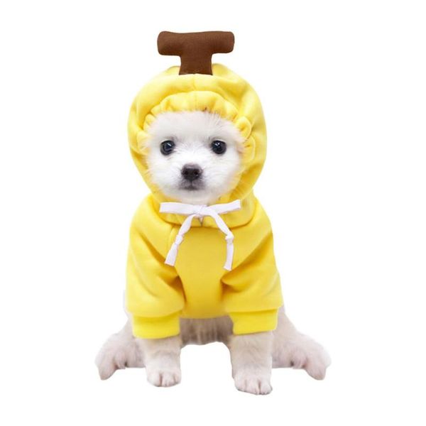 dog apparel jacket banana ringo frog shape clothes warm hoodie for pet fashion small medium large dogs
dog apparel jacket banana ringo frog shape clothes warm hoodie for pet fashion small medium large dogs