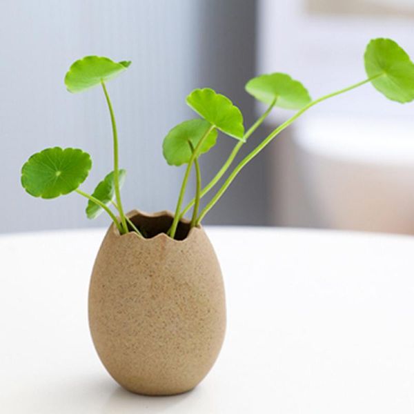 creative and simple hydroponic flower device cute home deskdecoration office beautification egg shell ceramic small vase vases
creative and simple hydroponic flower device cute home deskdecoration office beautification egg shell ceramic small vase vases