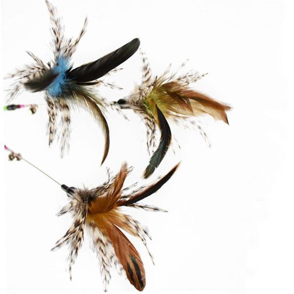 cat toys colorful pet products turkey feather wand stick for catcher teaser toy increase interactive fun
cat toys colorful pet products turkey feather wand stick for catcher teaser toy increase interactive fun