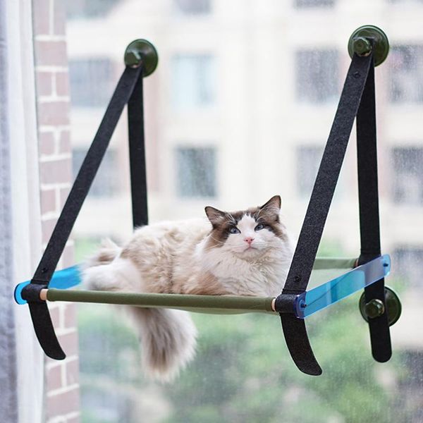 cat beds & furniture hoopet window perch pet hanging bed summer durable mounted hommock
cat beds & furniture hoopet window perch pet hanging bed summer durable mounted hommock