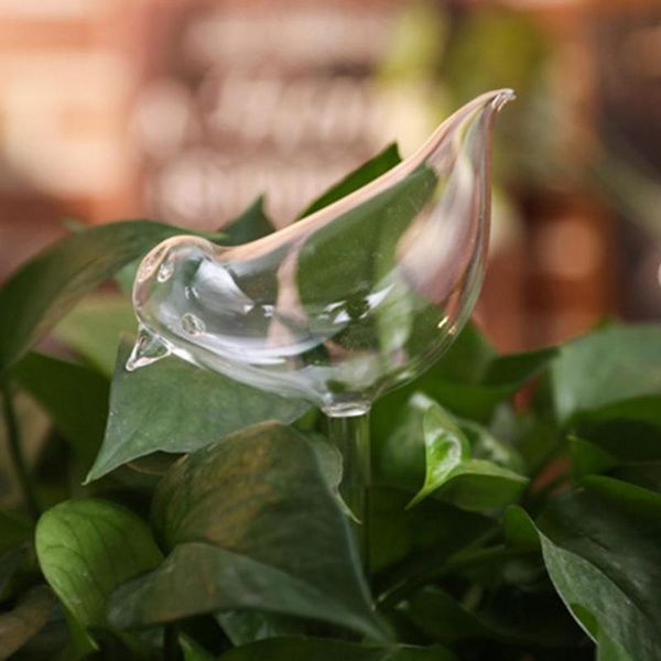watering equipments household glass lazy automatic device balcony garden potted ball cartoon drip water seepage
watering equipments household glass lazy automatic device balcony garden potted ball cartoon drip water seepage