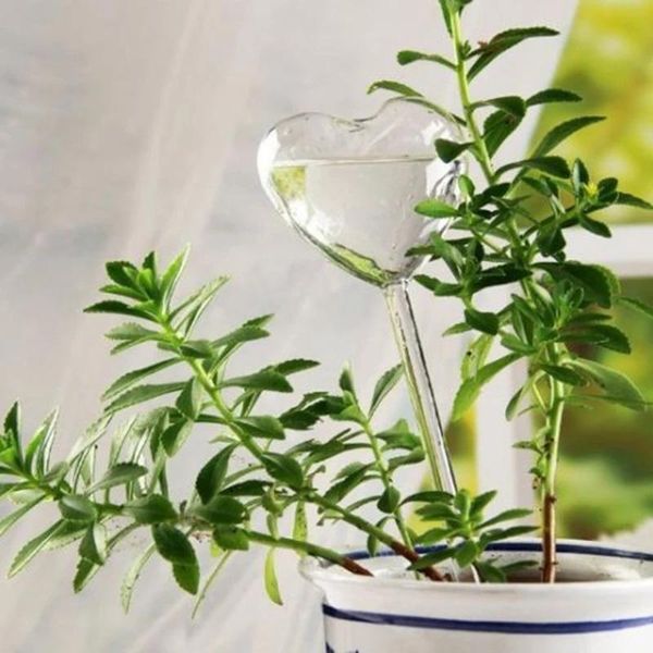 watering equipments house/garden water houseplant plant pot little love automatic self device gardening tools and equipment
watering equipments house/garden water houseplant plant pot little love automatic self device gardening tools and equipment
