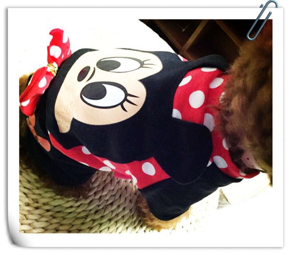 the dog clothes autumn winter pet dog and cat cute party teddy vip is straighter than bear clothing
the dog clothes autumn winter pet dog and cat cute party teddy vip is straighter than bear clothing