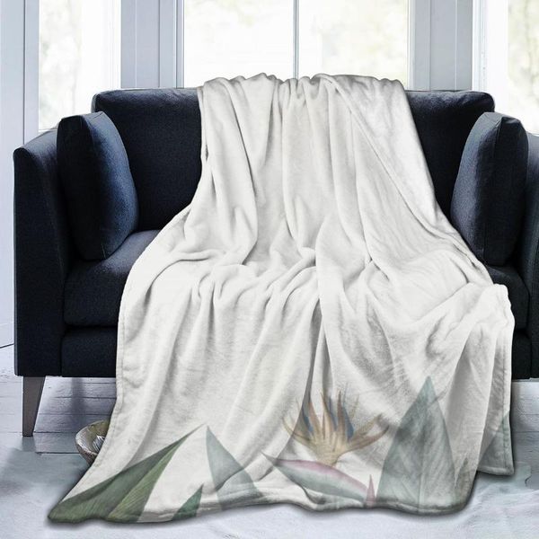blankets flannel blanket macaw tropical illustration light thin mechanical wash warm soft throw on sofa bed travel patchwork
blankets flannel blanket macaw tropical illustration light thin mechanical wash warm soft throw on sofa bed travel patchwork