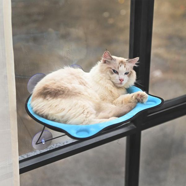 pet eva mats cat hammock dog bed steel wire hang nest window sill round suction cups warm puppy sucker type tools beds & furniture
pet eva mats cat hammock dog bed steel wire hang nest window sill round suction cups warm puppy sucker type tools beds & furniture