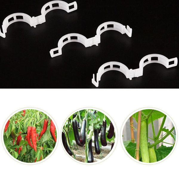 other garden supplies 150 pieces tomato veggie plant support clips trellis flower vegetable binder twine
other garden supplies 150 pieces tomato veggie plant support clips trellis flower vegetable binder twine