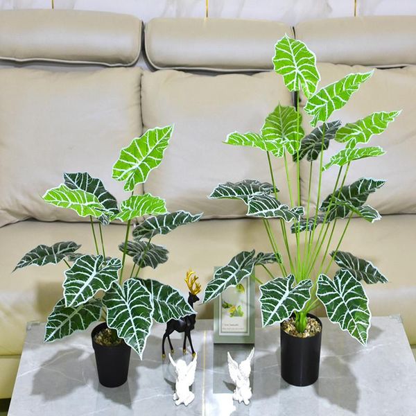 decorative flowers & wreaths 75cm simulation green plant guanyin lotus fairy taro leaf potted home nordic style living room decoration fake
decorative flowers & wreaths 75cm simulation green plant guanyin lotus fairy taro leaf potted home nordic style living room decoration fake